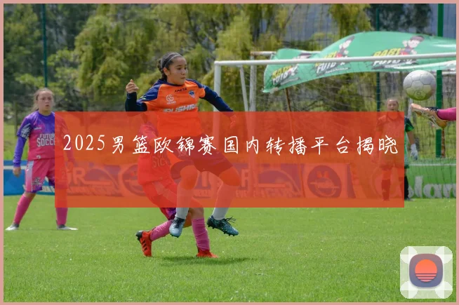 2025男篮欧锦赛国内转播平台揭晓