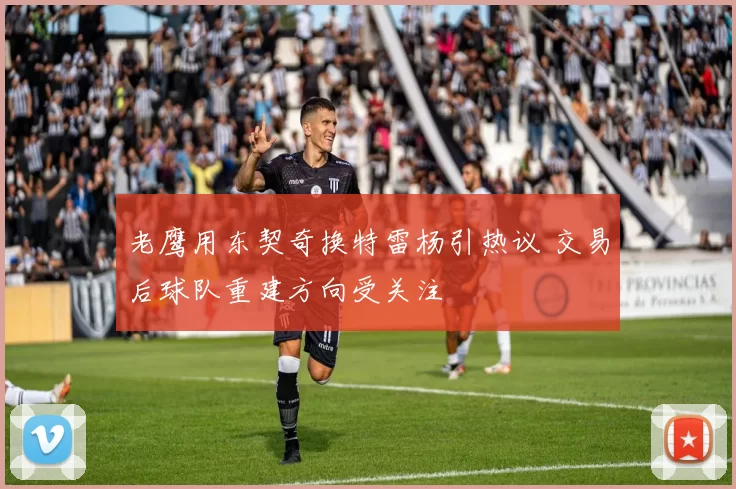 老鹰用东契奇换特雷杨引热议 交易后球队重建方向受关注