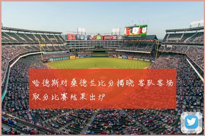 哈德斯对桑德兰比分揭晓 客队客场取分比赛结果出炉